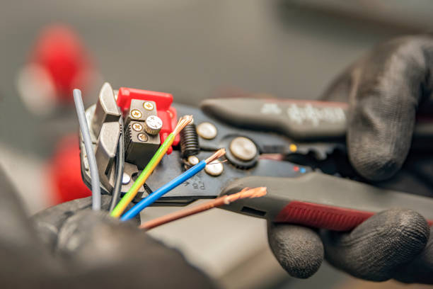 Best Electric Panel Repair  in Carrollton, KY